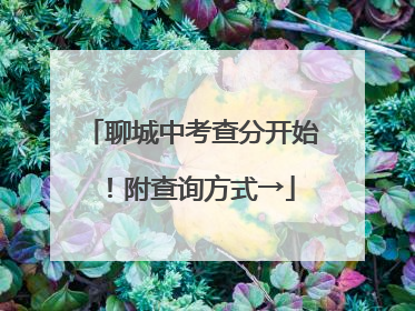 聊城中考查分开始！附查询方式→