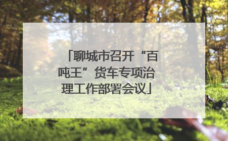 聊城市召开“百吨王”货车专项治理工作部署会议