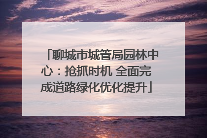 聊城市城管局园林中心：抢抓时机 全面完成道路绿化优化提升