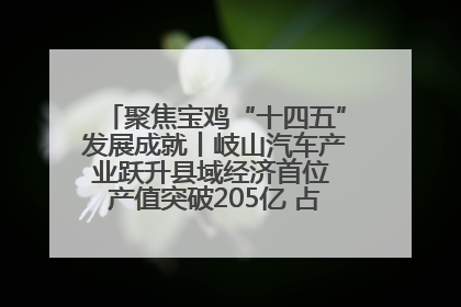 聚焦宝鸡“十四五”发展成就丨岐山汽车产业跃升县域经济首位 产值突破205亿 占规上工业75%