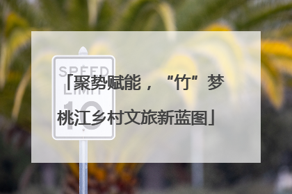 聚势赋能，“竹”梦桃江乡村文旅新蓝图