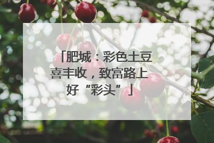 肥城：彩色土豆喜丰收，致富路上好“彩头”