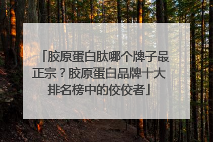 胶原蛋白肽哪个牌子最正宗？胶原蛋白品牌十大排名榜中的佼佼者