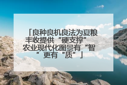 良种良机良法为夏粮丰收提供“硬支撑” 农业现代化图景有“智”更有“质”