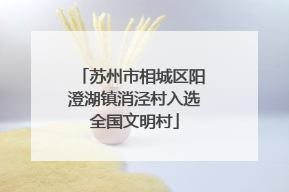 苏州市相城区阳澄湖镇消泾村入选全国文明村