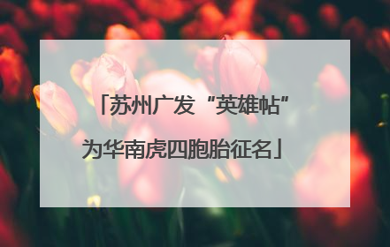 苏州广发“英雄帖”为华南虎四胞胎征名