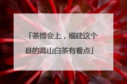 茶博会上，福建这个县的高山白茶有看点
