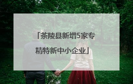 茶陵县新增5家专精特新中小企业
