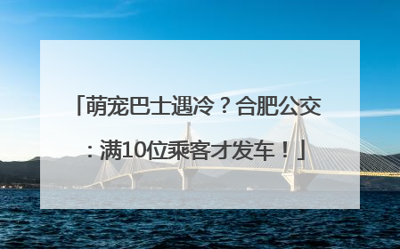 萌宠巴士遇冷？合肥公交：满10位乘客才发车！