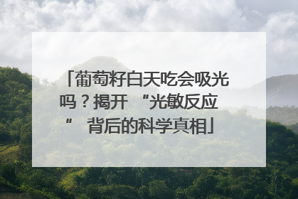 葡萄籽白天吃会吸光吗？揭开 “光敏反应” 背后的科学真相