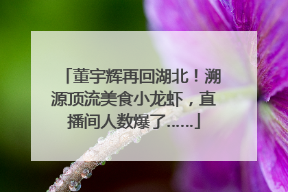 董宇辉再回湖北！溯源顶流美食小龙虾，直播间人数爆了……