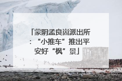 蒙阴孟良崮派出所：“小推车”推出平安好“枫”景