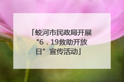 蛟河市民政局开展“6．19救助开放日”宣传活动