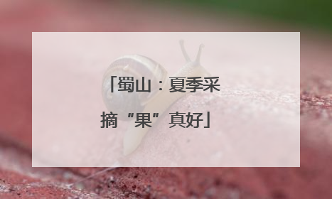 蜀山：夏季采摘“果”真好