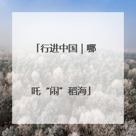 行进中国｜哪吒“闹”稻海