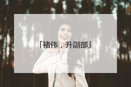 褚伟，升副部