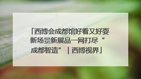 西博会成都馆好看又好耍 新场景新展品一网打尽“成都智造”｜西博视界