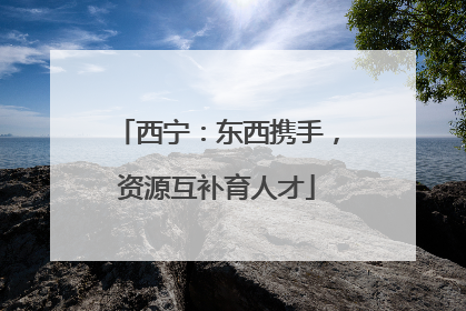 西宁：东西携手，资源互补育人才