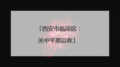 西安市临潼区：关中平原夏收