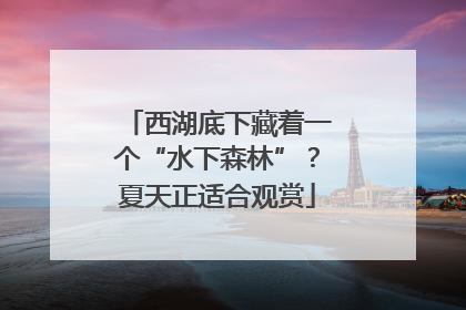 西湖底下藏着一个“水下森林”？夏天正适合观赏