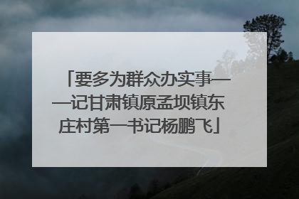 要多为群众办实事——记甘肃镇原孟坝镇东庄村第一书记杨鹏飞