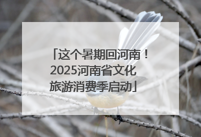 这个暑期回河南！2025河南省文化旅游消费季启动