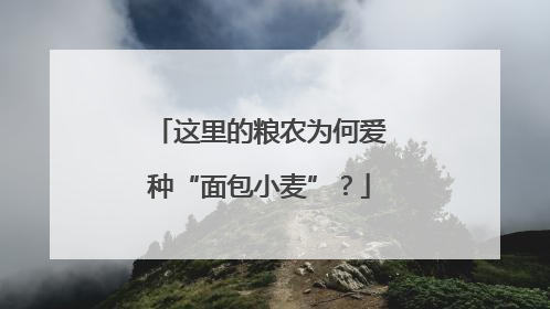 这里的粮农为何爱种“面包小麦”？