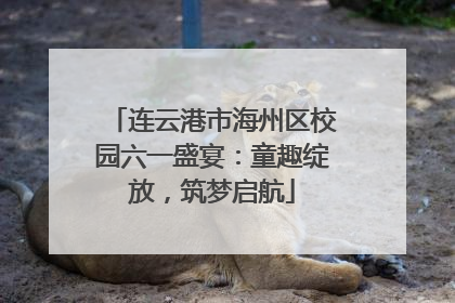 连云港市海州区校园六一盛宴：童趣绽放，筑梦启航