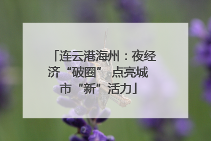 连云港海州：夜经济“破圈” 点亮城市“新”活力