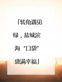 转角遇见绿，盐城滨海“口袋”盛满幸福
