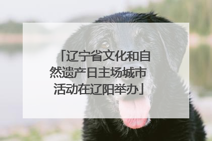 辽宁省文化和自然遗产日主场城市活动在辽阳举办