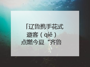 辽鲁携手花式邀客（qiě）点燃今夏“齐鲁风 辽海情”