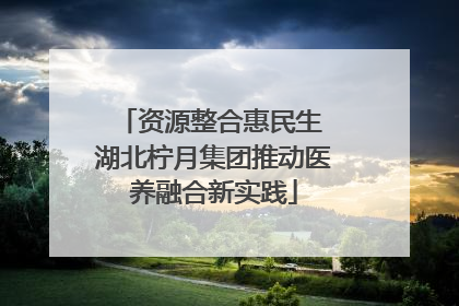 资源整合惠民生 湖北柠月集团推动医养融合新实践