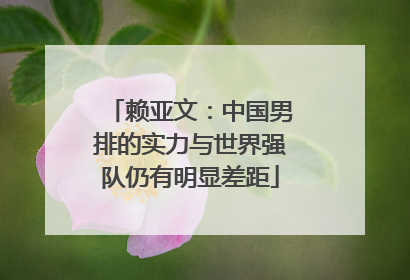 赖亚文：中国男排的实力与世界强队仍有明显差距