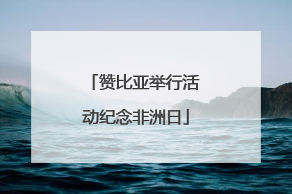 赞比亚举行活动纪念非洲日
