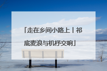 走在乡间小路上丨祁底麦浪与机杼交响