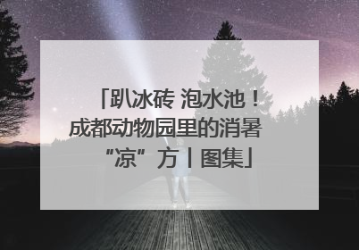 趴冰砖 泡水池！成都动物园里的消暑“凉”方丨图集