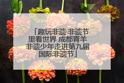 趣玩非遗·非遗节里看世界 成都青羊非遗少年走进第九届国际非遗节