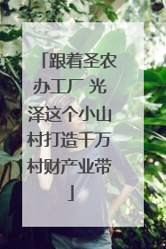 跟着圣农办工厂 光泽这个小山村打造千万村财产业带
