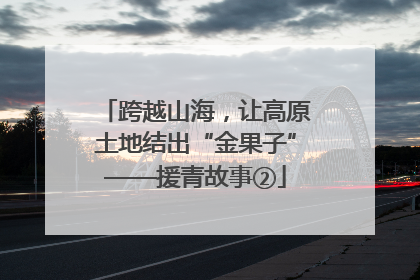 跨越山海，让高原土地结出“金果子”——援青故事②