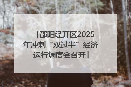 邵阳经开区2025年冲刺“双过半”经济运行调度会召开