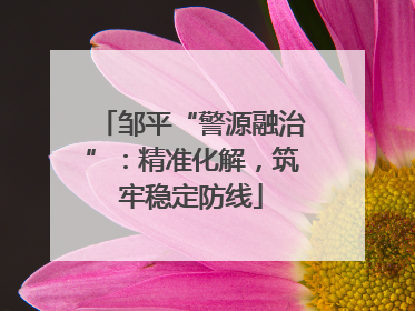 邹平“警源融治”：精准化解，筑牢稳定防线