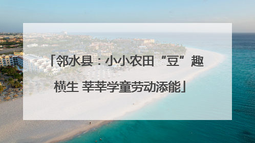 邻水县：小小农田“豆”趣横生 莘莘学童劳动添能