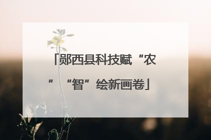 郧西县科技赋“农”“智”绘新画卷