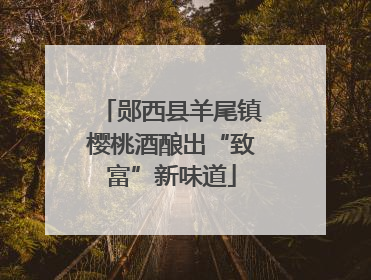 郧西县羊尾镇樱桃酒酿出“致富”新味道