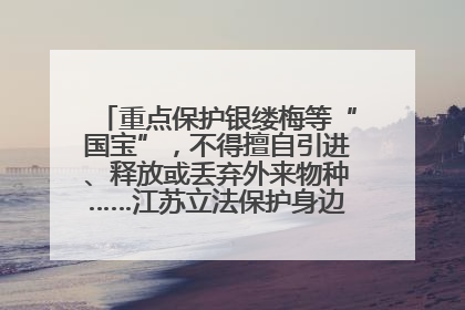 重点保护银缕梅等“国宝”，不得擅自引进、释放或丢弃外来物种……江苏立法保护身边的生物“朋友圈”