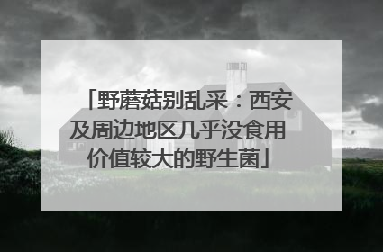 野蘑菇别乱采：西安及周边地区几乎没食用价值较大的野生菌