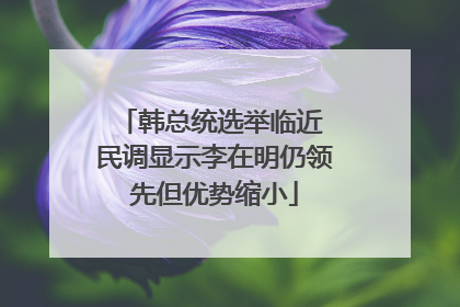 韩总统选举临近 民调显示李在明仍领先但优势缩小