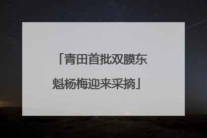 青田首批双膜东魁杨梅迎来采摘