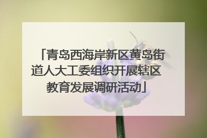 青岛西海岸新区黄岛街道人大工委组织开展辖区教育发展调研活动